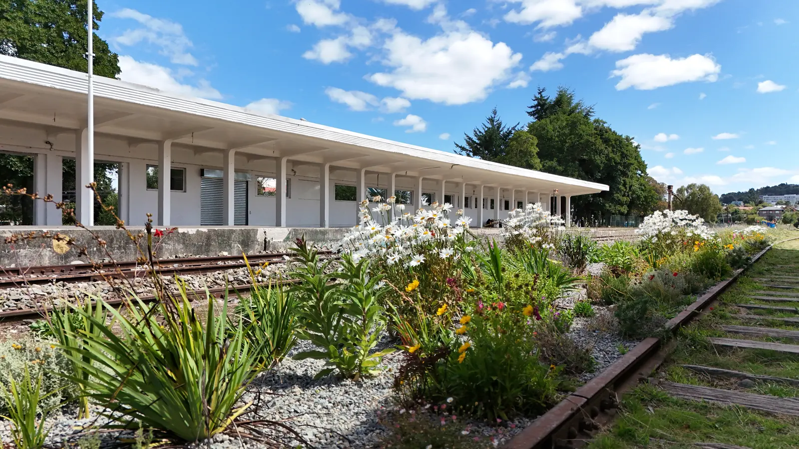 Corredor de flores en plena floración junto a la vía férrea, con el andén de la estación